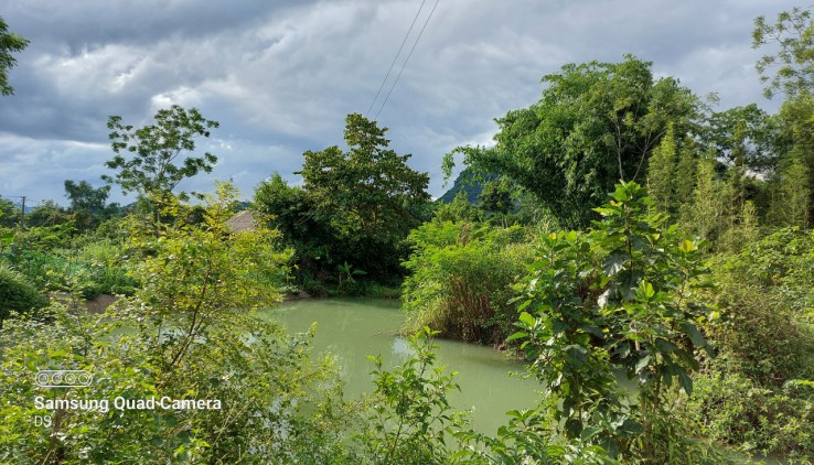 Bán đất Tân Lạc 7000m có ao, 400m thổ cư giá rẻ